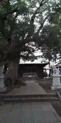 八幡神社(静岡県)