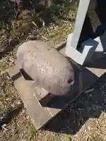 世尊院の{uncategorized: "未分類", other: "その他", undefined: "問題あり", building: "その他建物", grave: "お墓", sacred_gate: "鳥居", guardian: "狛犬", statue: "像", buddha: "仏像", history: "歴史", nature: "自然", garden: "庭園", animal: "動物", pagoda: "塔", temizu: "手水舎", mountain_gate: "山門・神門", sanctuary: "本殿・本堂", subordinate: "末社・摂社", art: "芸術", scenery: "景色", jizo: "地蔵", ema: "絵馬", goshuin: "御朱印", omikuji: "おみくじ", items: "授与品その他", amulet: "お守り", goshuincho: "御朱印帳", eats: "食事", festival: "お祭り", votive_dance: "神楽", shichigosan: "七五三参", wedding: "結婚式", experience: "体験その他", initially: "初詣", around: "周辺", anti_infection: "感染症対策"}