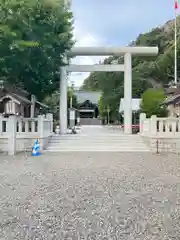 天津神明宮(千葉県)