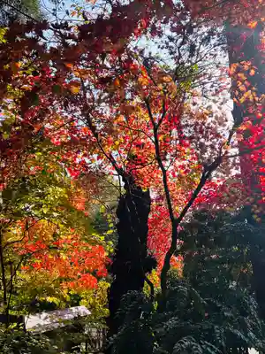 聖福寺(岩手県)