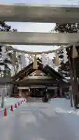 新琴似神社の鳥居