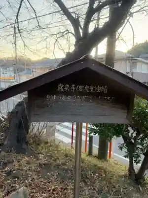 歳来寺（閻魔堂）の{uncategorized: "未分類", other: "その他", undefined: "問題あり", building: "その他建物", grave: "お墓", sacred_gate: "鳥居", guardian: "狛犬", statue: "像", buddha: "仏像", history: "歴史", nature: "自然", garden: "庭園", animal: "動物", pagoda: "塔", temizu: "手水舎", mountain_gate: "山門・神門", sanctuary: "本殿・本堂", subordinate: "末社・摂社", art: "芸術", scenery: "景色", jizo: "地蔵", ema: "絵馬", goshuin: "御朱印", omikuji: "おみくじ", items: "授与品その他", amulet: "お守り", goshuincho: "御朱印帳", eats: "食事", festival: "お祭り", votive_dance: "神楽", shichigosan: "七五三参", wedding: "結婚式", experience: "体験その他", initially: "初詣", around: "周辺", anti_infection: "感染症対策"}