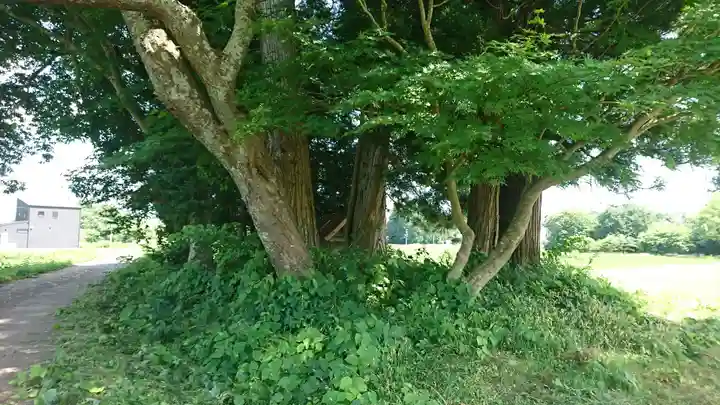 宇南権現神社(岩手県)