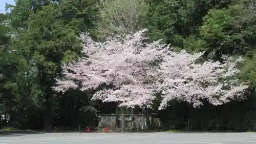 砥鹿神社（里宮）の自然