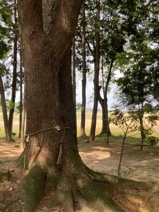 高繁大明神(稲荷)(兵庫県)