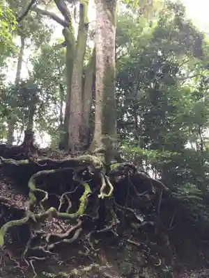 射山神社(三重県)