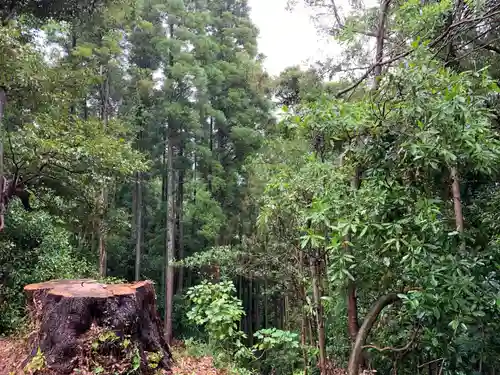 月読神社の景色