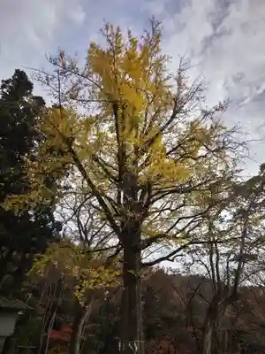 大蔵寺(福島県)