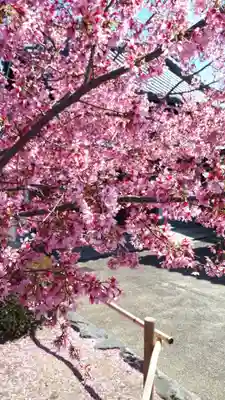 長徳寺(京都府)