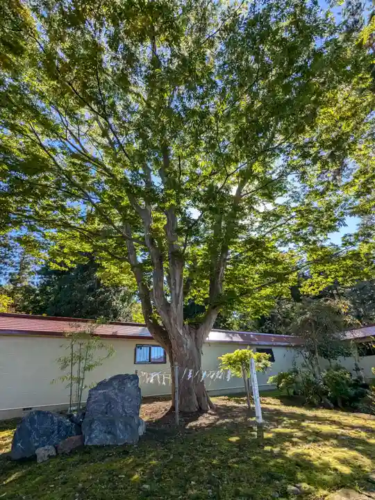 仁木神社(北海道)
