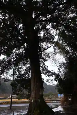 七社神社(鹿児島県)