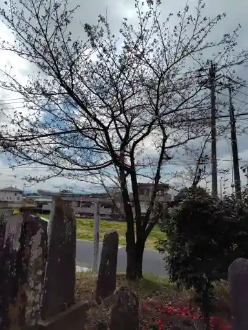 神明神社(埼玉県)
