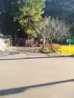 干咾不動尊(宮城県)