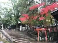 手向山八幡宮の{uncategorized: "未分類", other: "その他", undefined: "問題あり", building: "その他建物", grave: "お墓", sacred_gate: "鳥居", guardian: "狛犬", statue: "像", buddha: "仏像", history: "歴史", nature: "自然", garden: "庭園", animal: "動物", pagoda: "塔", temizu: "手水舎", mountain_gate: "山門・神門", sanctuary: "本殿・本堂", subordinate: "末社・摂社", art: "芸術", scenery: "景色", jizo: "地蔵", ema: "絵馬", goshuin: "御朱印", omikuji: "おみくじ", items: "授与品その他", amulet: "お守り", goshuincho: "御朱印帳", eats: "食事", festival: "お祭り", votive_dance: "神楽", shichigosan: "七五三参", wedding: "結婚式", experience: "体験その他", initially: "初詣", around: "周辺", anti_infection: "感染症対策"}
