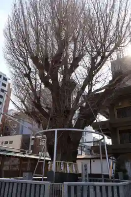 櫛田神社(福岡県)