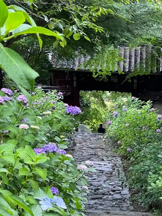 本光寺の山門・神門