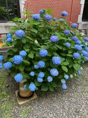 三田春日神社(東京都)