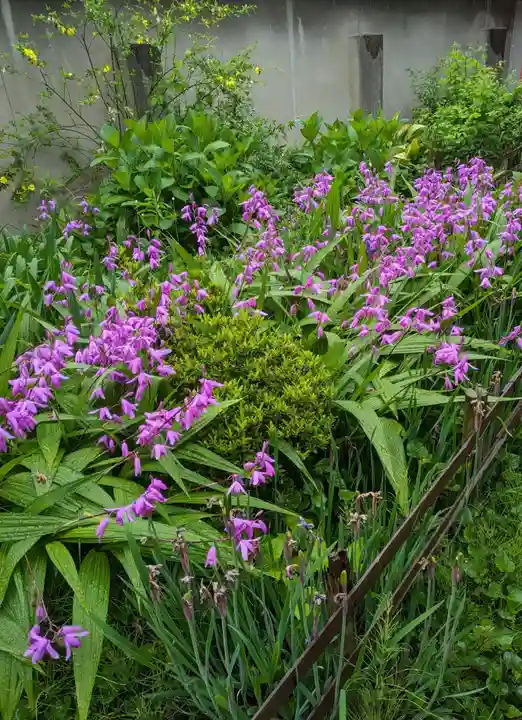 櫻井神社(兵庫県)