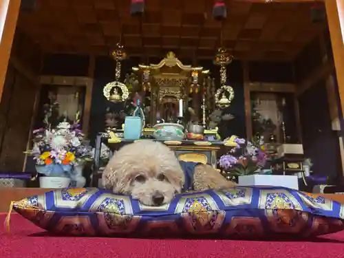 聖光寺の建物その他