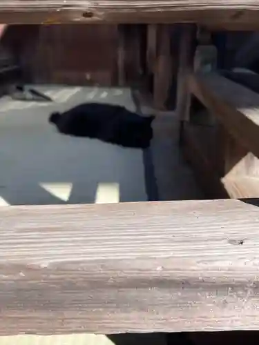 善入院観音堂　仙台第十番札所(宮城県)