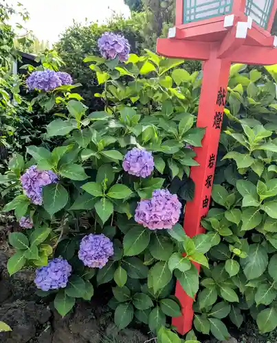 放生寺(東京都)