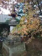 眞照寺(東京都)