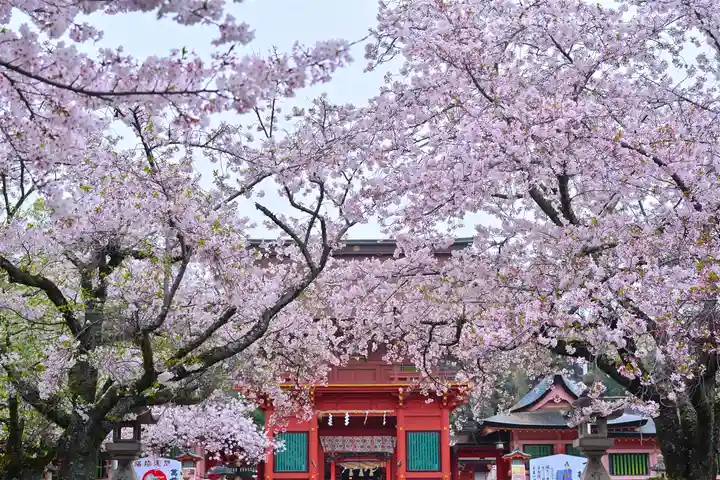 富士山本宮浅間大社(静岡県)