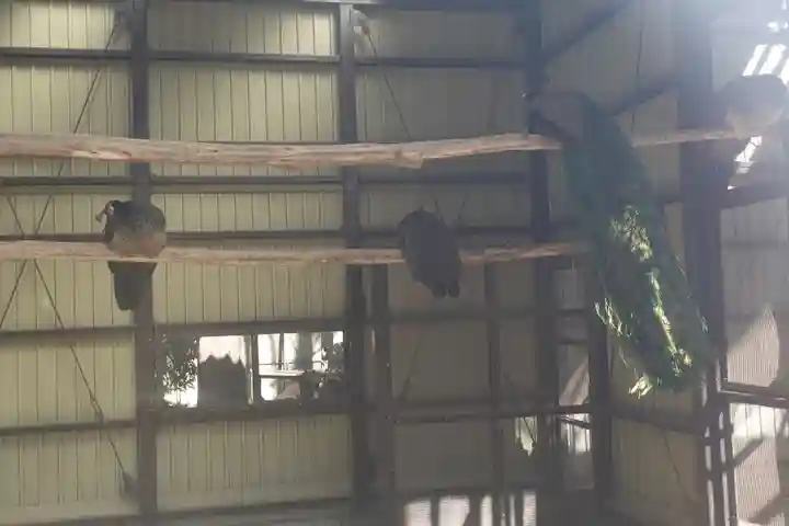 岩槻久伊豆神社(埼玉県)