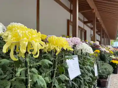 美奈宜神社(福岡県)