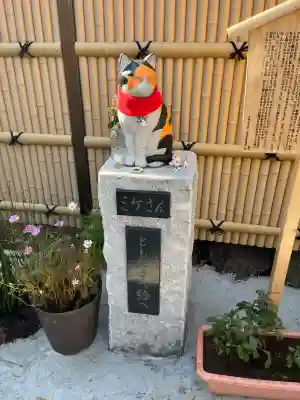 高円寺氷川神社(東京都)