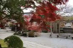 大渕寺の庭園