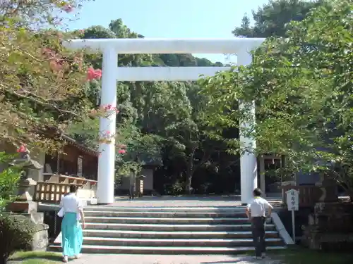 安房神社の鳥居