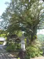 楽円寺(愛知県)