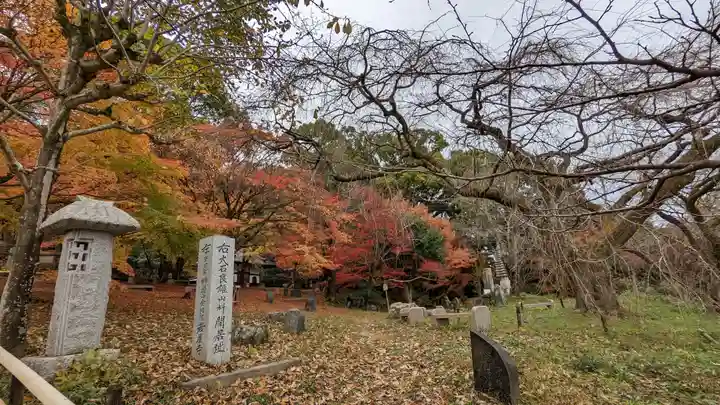 岩屋寺(京都府)