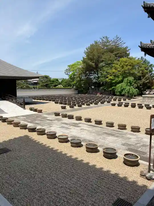 喜光寺(奈良県)