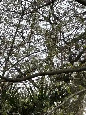 黙仙寺(神奈川県)