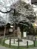 靖國神社(東京都)