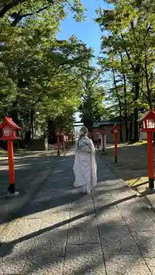 上野総社神社(群馬県)