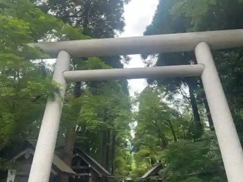 天岩戸神社の{uncategorized: "未分類", other: "その他", undefined: "問題あり", building: "その他建物", grave: "お墓", sacred_gate: "鳥居", guardian: "狛犬", statue: "像", buddha: "仏像", history: "歴史", nature: "自然", garden: "庭園", animal: "動物", pagoda: "塔", temizu: "手水舎", mountain_gate: "山門・神門", sanctuary: "本殿・本堂", subordinate: "末社・摂社", art: "芸術", scenery: "景色", jizo: "地蔵", ema: "絵馬", goshuin: "御朱印", omikuji: "おみくじ", items: "授与品その他", amulet: "お守り", goshuincho: "御朱印帳", eats: "食事", festival: "お祭り", votive_dance: "神楽", shichigosan: "七五三参", wedding: "結婚式", experience: "体験その他", initially: "初詣", around: "周辺", anti_infection: "感染症対策"}