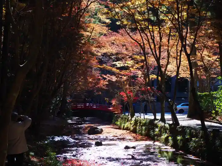 小國神社の庭園