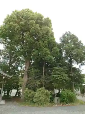 佐藤八幡社のその他建物
