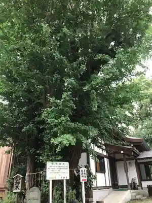 登渡神社のその他建物