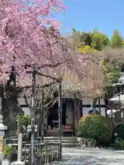 化野念仏寺の自然