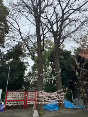 多摩川浅間神社のその他建物