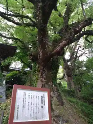 稲佐神社(佐賀県)