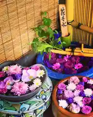 札幌護國神社の手水