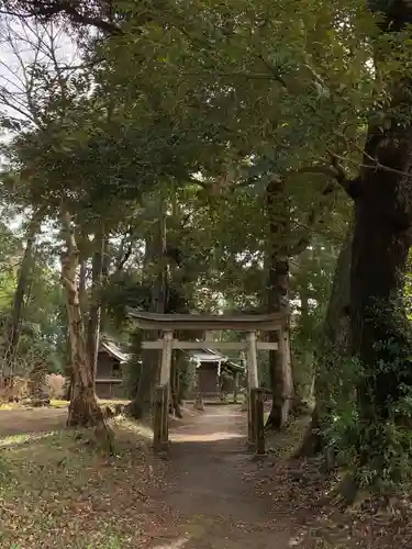 小鷹神社の鳥居