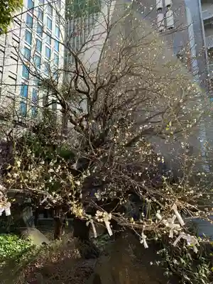 御霊神社(大阪府)