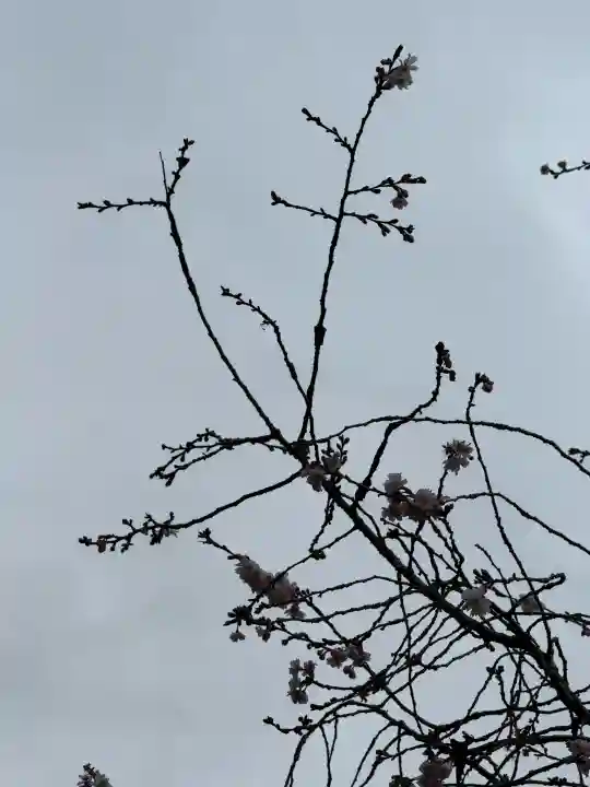 金毘羅宮慈眼寺の{uncategorized: "未分類", other: "その他", undefined: "問題あり", building: "その他建物", grave: "お墓", sacred_gate: "鳥居", guardian: "狛犬", statue: "像", buddha: "仏像", history: "歴史", nature: "自然", garden: "庭園", animal: "動物", pagoda: "塔", temizu: "手水舎", mountain_gate: "山門・神門", sanctuary: "本殿・本堂", subordinate: "末社・摂社", art: "芸術", scenery: "景色", jizo: "地蔵", ema: "絵馬", goshuin: "御朱印", omikuji: "おみくじ", items: "授与品その他", amulet: "お守り", goshuincho: "御朱印帳", eats: "食事", festival: "お祭り", votive_dance: "神楽", shichigosan: "七五三参", wedding: "結婚式", experience: "体験その他", initially: "初詣", around: "周辺", anti_infection: "感染症対策"}