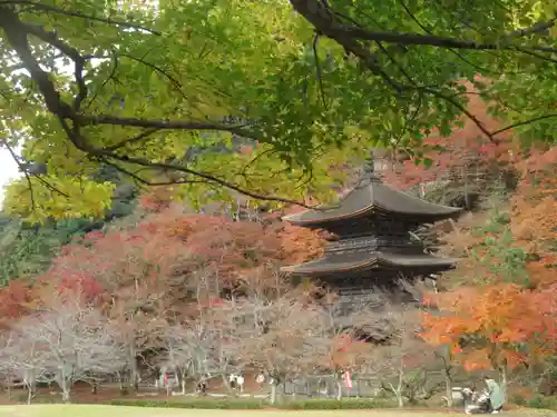 金剛院(京都府)